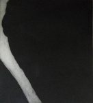 La peau sur les os. 37x32cm